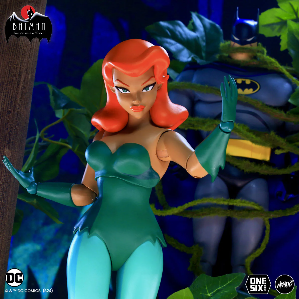 Thumbnail 13